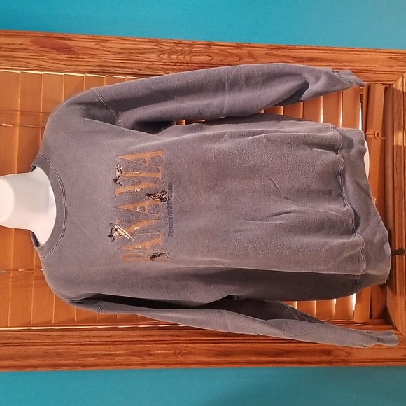 🔮 One of A Kind - Princess Cruises Collection Sweatshirt (medium) Panamal Canal - Picture 1 of 10